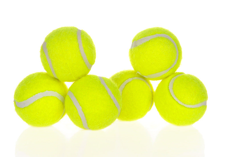 Automatic Interactive Ball Launcher for Dogs – The Ultimate Fun & Exercise Toy