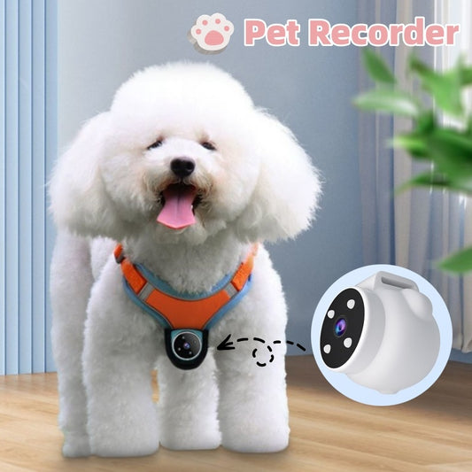 Pet Camera Collar – Action Camera for Dogs & Cats with Motion Recording